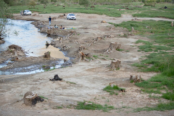 قطع گسترده درختان روستای «اسکان» - شازند