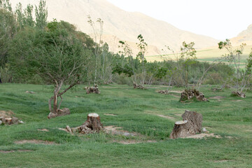 روستای اسکان در شهرستان شازند استان مرکزی، در مسیر اراک ـ بروجرد و در فاصله ۱۹ کیلومتری شهر شازند واقع شده است.