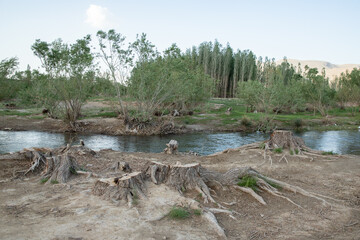 قطع درختان، بخشی از زیبایی طبیعی روستای اسکان را از میان برده و اکنون ضرورت صیانت از منابع طبیعی و نظارت جدی‌تر بر فعالیت‌های انسانی در این منطقه بیش از گذشته احساس می‌شود.