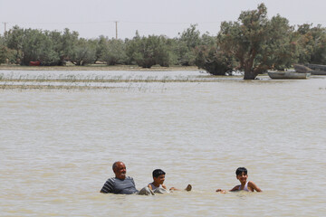 حالِ خوبِ «هامون»