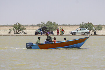 حالِ خوبِ «هامون»