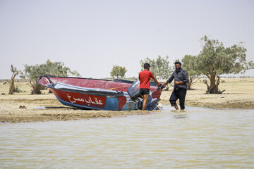 حالِ خوبِ «هامون»