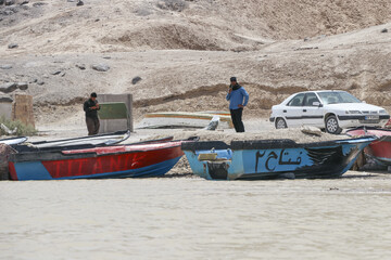حالِ خوبِ «هامون»