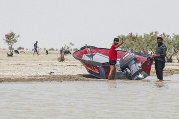 حالِ خوبِ «هامون»