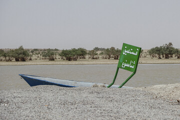 حالِ خوبِ «هامون»
