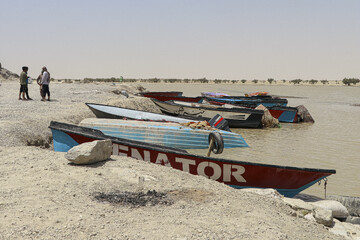 حالِ خوبِ «هامون»