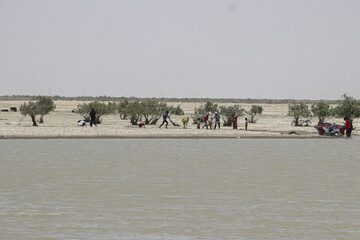حالِ خوبِ «هامون»
