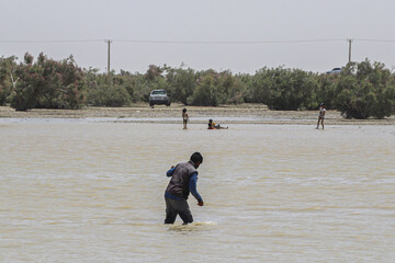حالِ خوبِ «هامون»