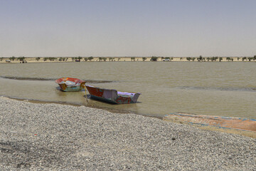حالِ خوبِ «هامون»