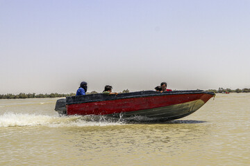 حالِ خوبِ «هامون»