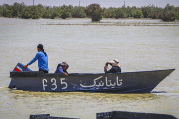 حالِ خوبِ «هامون»