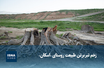 ویدیو/ زخم تبر بر تن طبیعت روستای «اسکان»