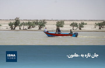 ویدیو/ جان تازه به «هامون»