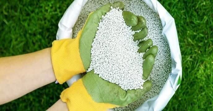 حمل ۳۶۰ تن کود اوره به کارگزاران شهرستان ری در ۵۰ روز گذشته
