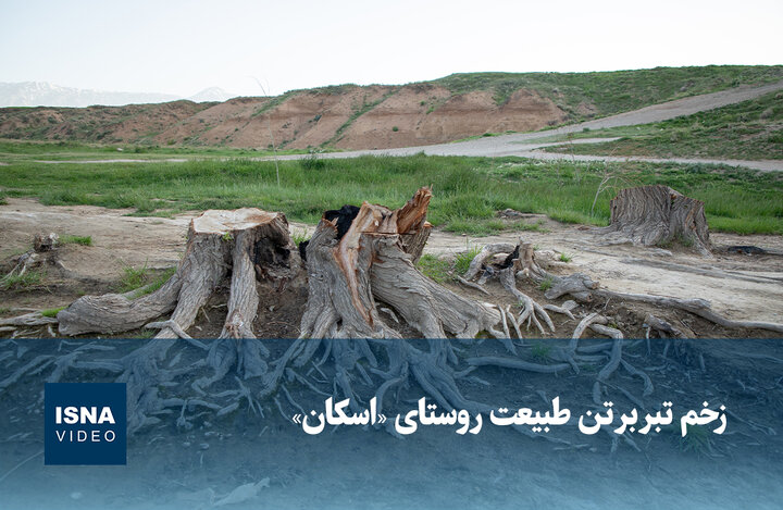 ویدیو/ زخم تبر بر تن طبیعت روستای «اسکان»