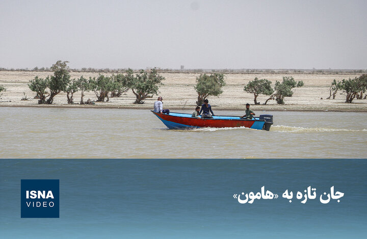 ویدیو/ جان تازه به «هامون»