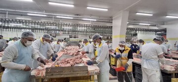 تاکید معاون اقتصادی استاندار لرستان بر نظارت ویژه به عرضه و توزیع مرغ در بازار 