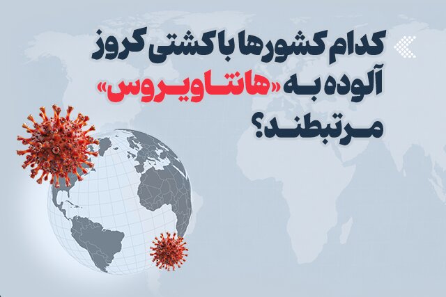 اینفوگرافیک/ کشورهای مرتبط با کشتی کروزِ آلوده به «هانتاویروس» کدامند؟