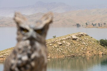 وجود طبیعت بکر، تنوع زیستی، زیستگاه گونه‌های ارزشمند، ظرفیت بالای پرنده‌نگری، پیشینه تاریخی، فرهنگ بومی، صنایع‌دستی ریشه‌دار و توسعه گردشگری طبیعی، از مهم‌ترین دلایلی است که روستای پامنار را به یکی از گزینه‌های مطرح برای ثبت جهانی روستاهای گردشگری تبدیل کرده است.