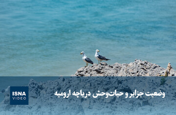 ویدیو/ وضعیت جزایر و حیات‌وحش دریاچه ارومیه