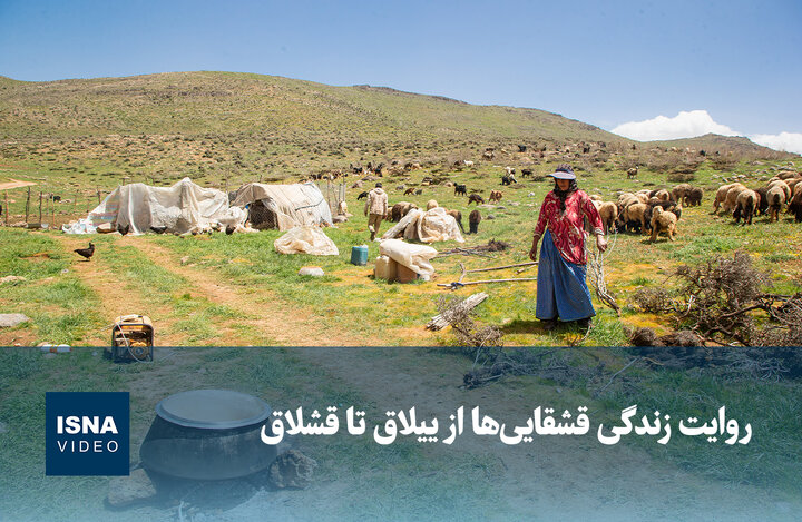ویدیو/ روایت زندگی قشقایی‌ها از ییلاق تا قشلاق
