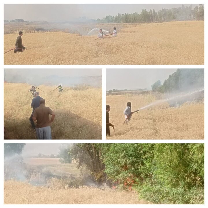 مهار به‌موقع آتش‌سوزی مزارع کشاورزی در مهران