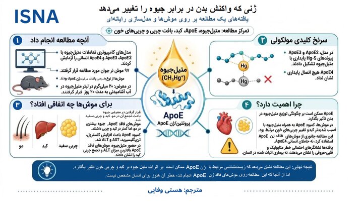 جیوه برای همه به یک اندازه خطرناک نیست!
