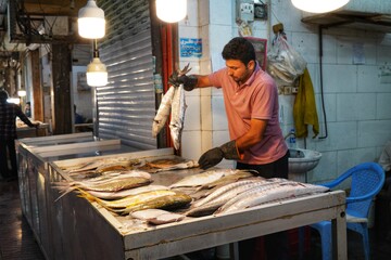 بازار ماهی فروشان بوشهر