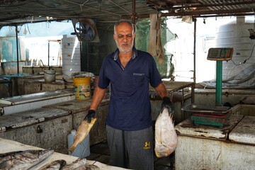 بازار ماهی فروشان بوشهر