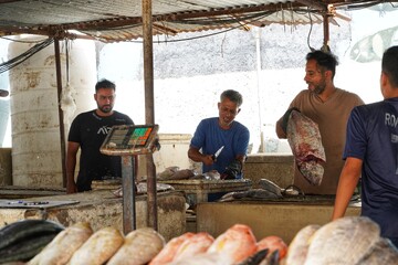 بازار ماهی فروشان بوشهر