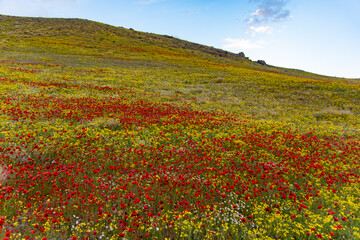 طبیعت بی نظیر بهاری ارومیه