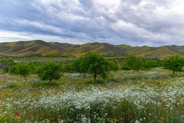 طبیعت بی نظیر بهاری ارومیه