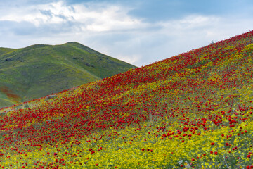 ارومیه با جلگه ای گسترده  و سرسبز به همراه کوه های اطرافش یکی از زیباترین و بکرترین مناطق طبیعی ایران به شمار می آید