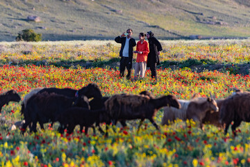 ارومیه هرساله میزبان گردشگران فراوانی از جای جای کشور است