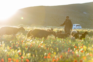 ارومیه با جلگه ای گسترده  و سرسبز به همراه کوه های اطرافش یکی از زیباترین و بکرترین مناطق طبیعی ایران به شمار می آید
