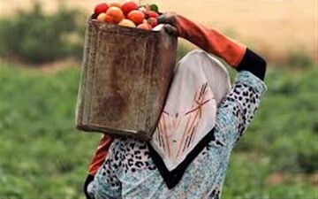 حمایت از زنان تسهیلگر روستایی در منطقه سیستان