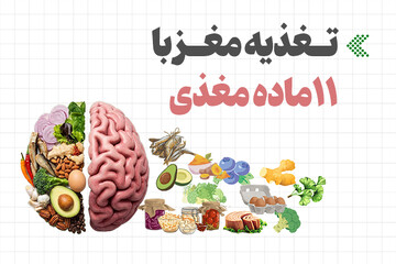 اینفوگرافیک/ تغذیه مغز با ۱۱ ماده مغذی