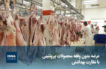 ویدیو/ عرضه بدون وقفه محصولات پروتئینی با نظارت بهداشتی