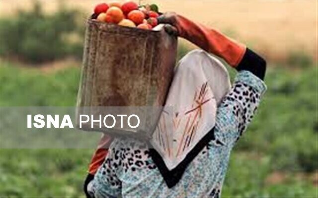 حمایت از زنان تسهیلگر روستایی در منطقه سیستان