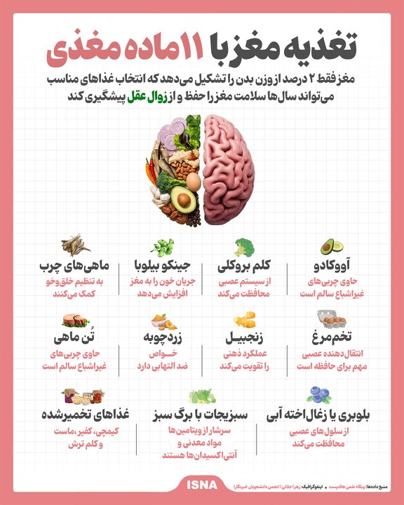 اینفوگرافیک/ تغذیه مغز با ۱۱ ماده مغذی