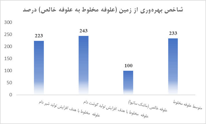 افزایش ۲۳۳ درصدی بهرهوری زمین با کشت مخلوط علوفه در بدره