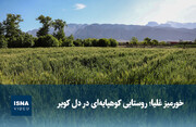ویدیو/ خورمیز عُلیا؛ روستایی کوهپایه‌ای در دل کویر