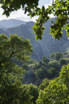 نمایی از طبیعت بکر رشته کوه زاگرس و کبیرکوه