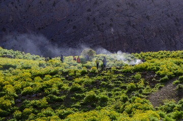 کمپ در «کوه گُل» دنا