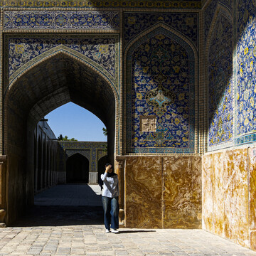 در کاشی‌های هفت رنگ مسجد امام، رنگ آبی بر تمامی رنگ‌ها غلبه دارد. از میان این نقش‌‌ها می‌توان به استفاده از چلیپا که یکی از نقوش ایرانی کهن است برای نخستین بار در بنای مسجد اشاره کرد. همچنین استفاده از نقش درخت، پرندگان و موجودات زنده که پیش‌‌تر معمول نبود با الهام از سبک تیموری در بخش‌‌هایی از شبستان مسجد دیده می‌شود.