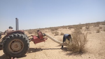مهار ملخ کوهان‌دار تاغ در شهرستان دامغان