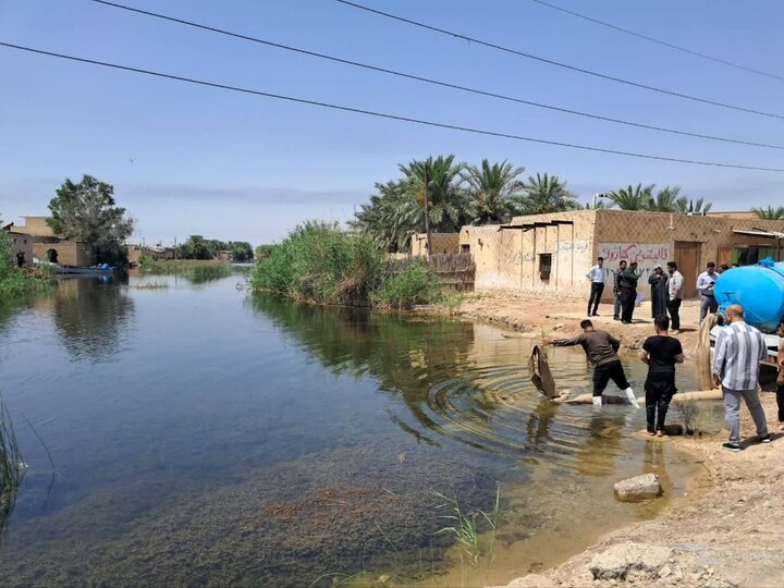 آغاز رهاسازی بچه‌ماهیان بومی در منابع آبی خوزستان 