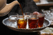 پرداخت ۶۲ درصدی مطالبات چایکاران/ احیای ۸۰۰ هکتار از باغات
