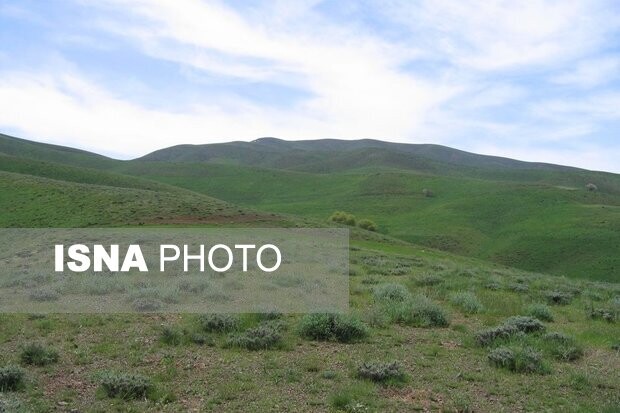 وجود ۱۰ میلیون هکتار مرتع در سیستان و بلوچستان