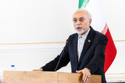 علی‌اکبر صالحی: «الموت» نماد تلاقی جغرافیای اندیشه، مقاومت و فرهنگ است